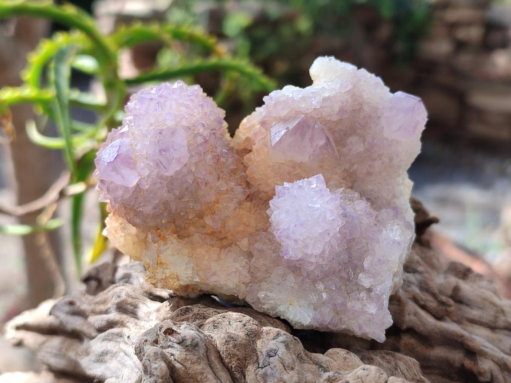 Natural Spirit Ametrine Clusters x 4 From Boekenhouthoek, South Africa - Toprock Gemstones and Minerals 