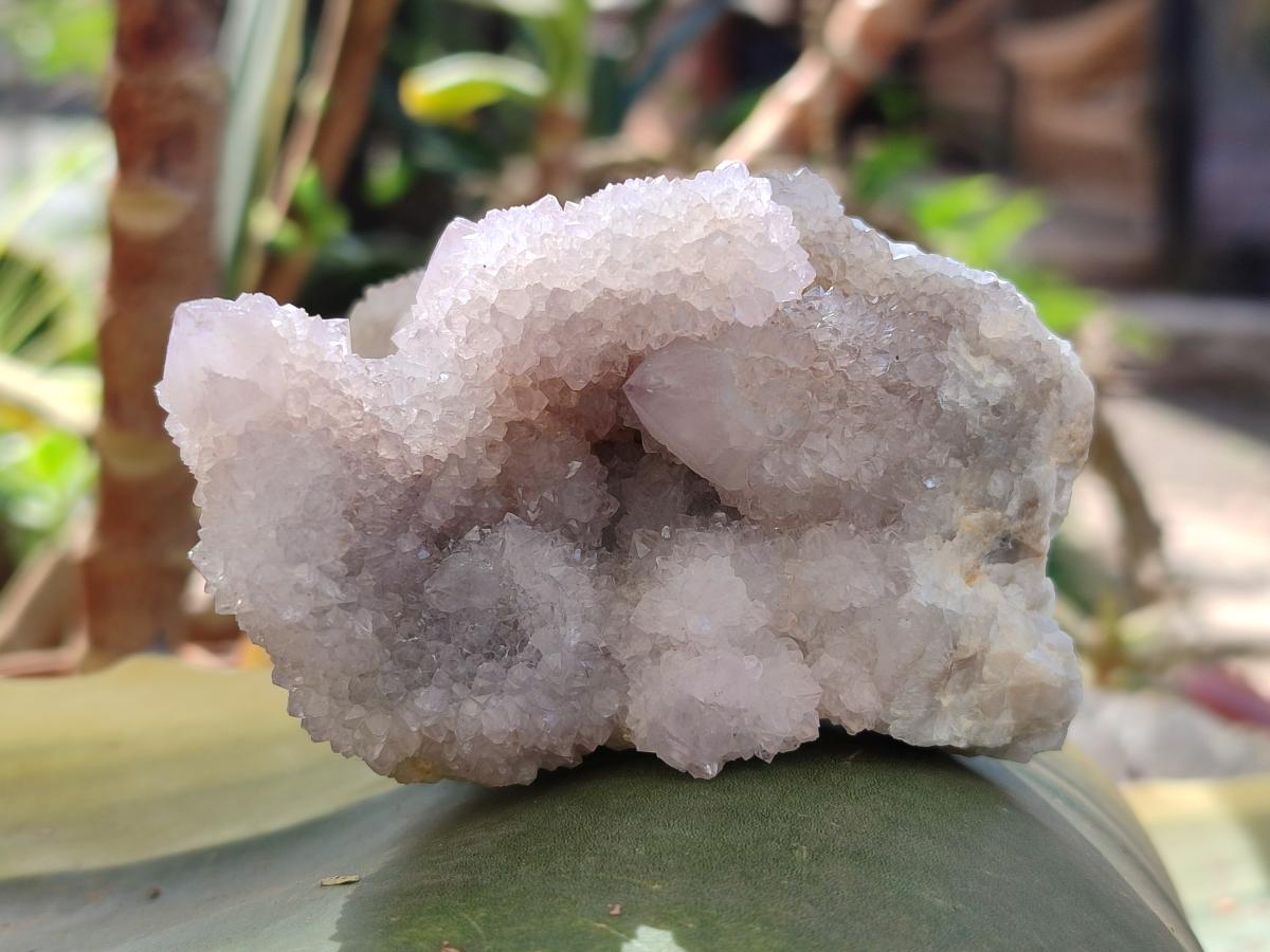 Natural Spirit Ametrine Clusters x 4 From Boekenhouthoek, South Africa - Toprock Gemstones and Minerals 
