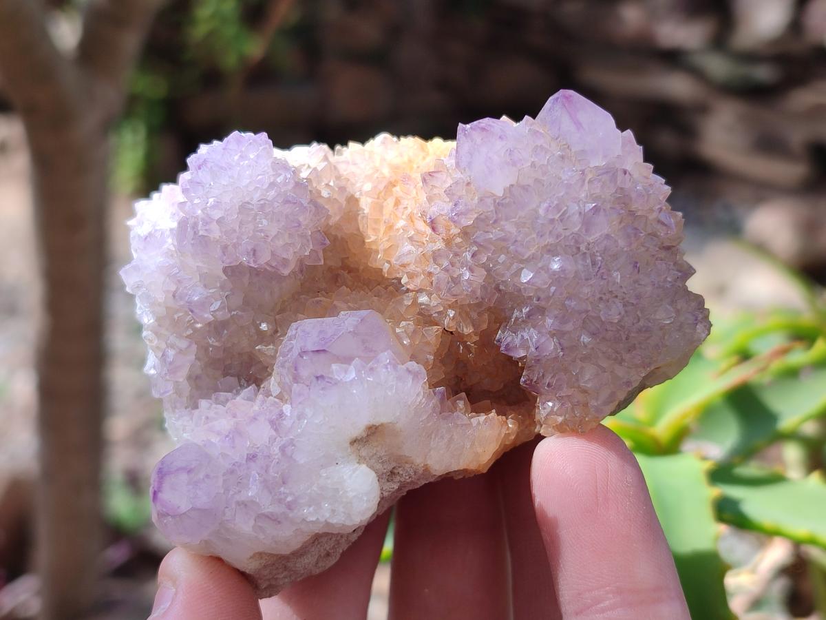 Natural Spirit Ametrine Clusters x 4 From Boekenhouthoek, South Africa - Toprock Gemstones and Minerals 