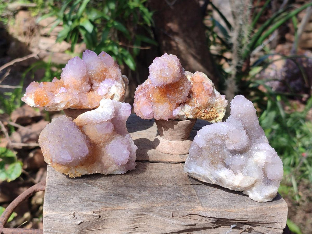 Natural Spirit Ametrine Clusters x 4 From Boekenhouthoek, South Africa - Toprock Gemstones and Minerals 