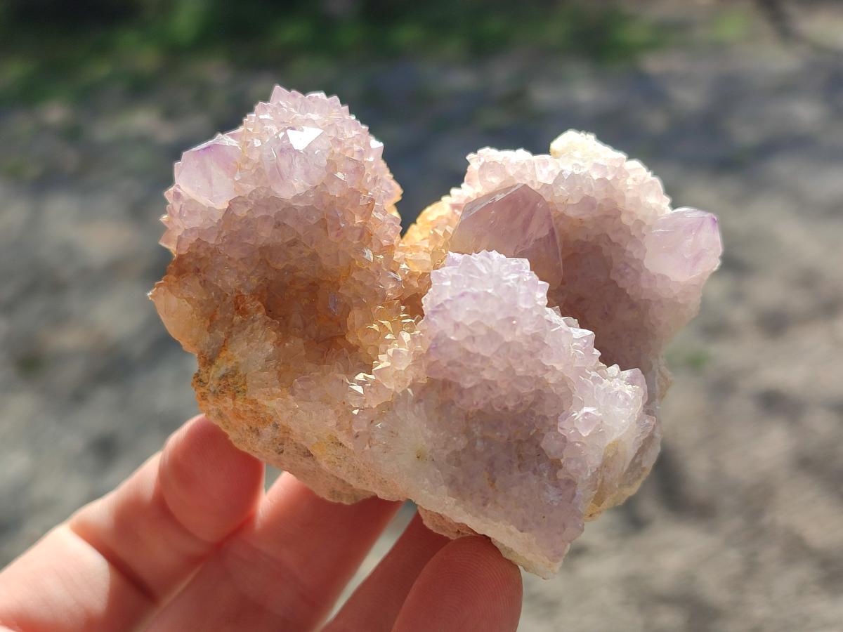Natural Spirit Ametrine Clusters x 4 From Boekenhouthoek, South Africa - Toprock Gemstones and Minerals 