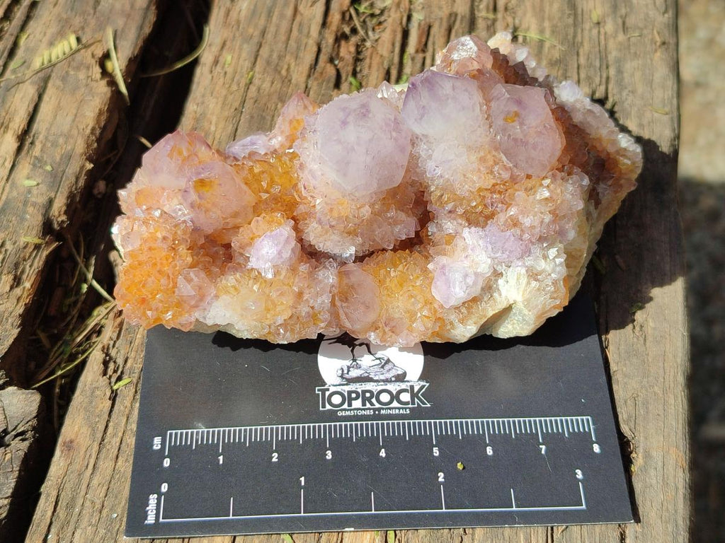 Natural Spirit Ametrine Clusters x 4 From Boekenhouthoek, South Africa - Toprock Gemstones and Minerals 