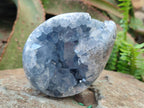 Polished and Natural Blue Celestite Eggs x 3 From Sakoany, Madagascar - Toprock Gemstones and Minerals 