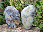 Polished and Natural Fluorescent Dendritic White Opal Standing Display Pieces x 2 From Moralambo, Madagascar - Toprock Gemstones and Minerals 