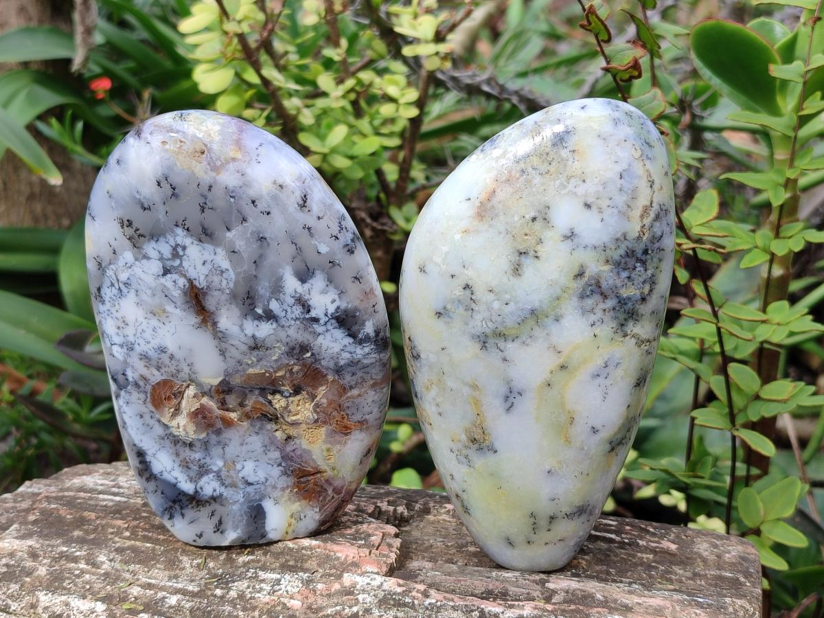 Polished and Natural Fluorescent Dendritic White Opal Standing Display Pieces x 2 From Moralambo, Madagascar - Toprock Gemstones and Minerals 
