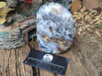 Polished and Natural Fluorescent Dendritic White Opal Standing Display Pieces x 2 From Moralambo, Madagascar - Toprock Gemstones and Minerals 