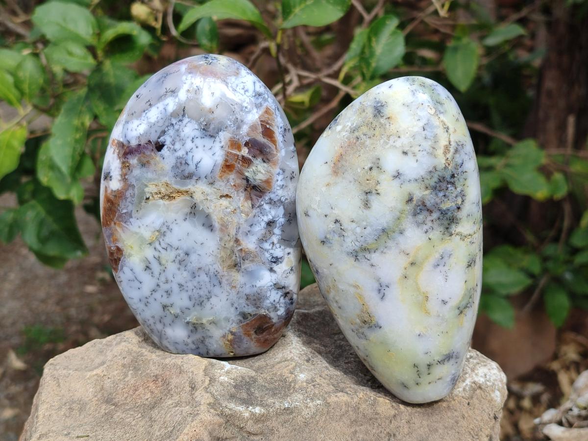Polished and Natural Fluorescent Dendritic White Opal Standing Display Pieces x 2 From Moralambo, Madagascar - Toprock Gemstones and Minerals 