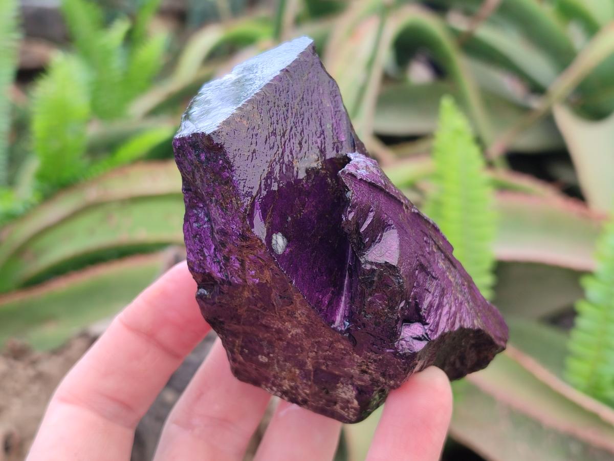 Natural Metallic Cobbed Purpurite Specimens x 6 From Erongo, Namibia - Toprock Gemstones and Minerals 