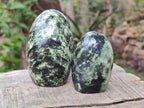 Polished Leopard Stone Standing Display Pieces x 6 From Zimbabwe - Toprock Gemstones and Minerals 