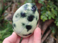 Polished Leopard Stone Standing Display Pieces x 6 From Zimbabwe - Toprock Gemstones and Minerals 
