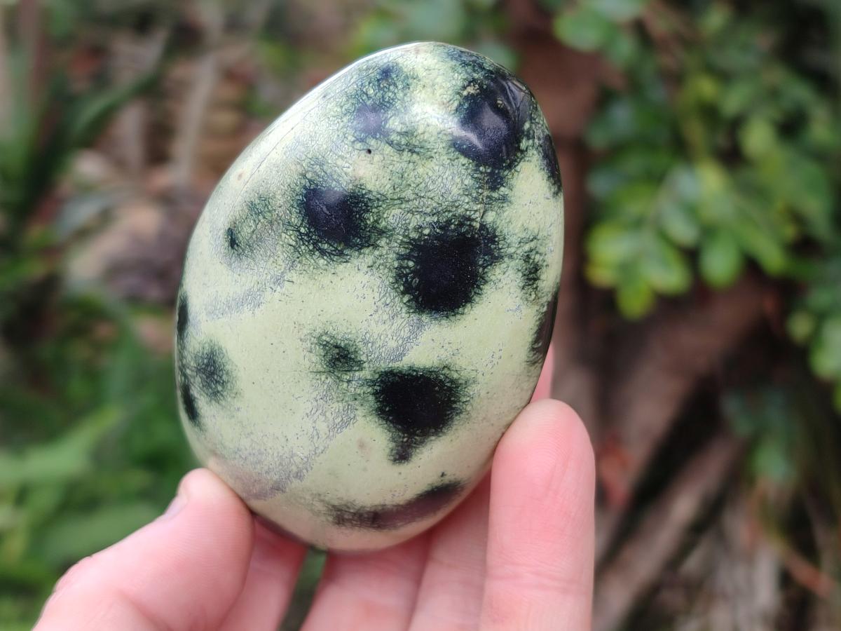 Polished Leopard Stone Standing Display Pieces x 6 From Zimbabwe - Toprock Gemstones and Minerals 