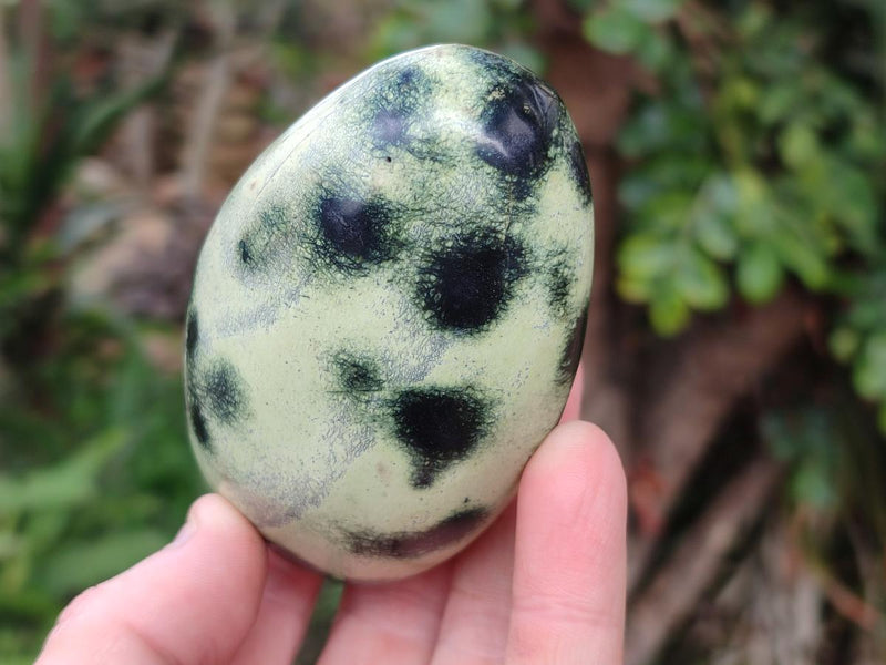 Polished Leopard Stone Standing Display Pieces x 6 From Zimbabwe - Toprock Gemstones and Minerals 