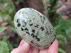 Polished Leopard Stone Standing Display Pieces x 6 From Zimbabwe - Toprock Gemstones and Minerals 