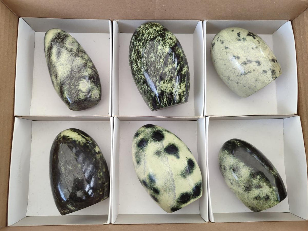 Polished Leopard Stone Standing Display Pieces x 6 From Zimbabwe - Toprock Gemstones and Minerals 