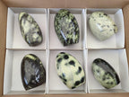Polished Leopard Stone Standing Display Pieces x 6 From Zimbabwe - Toprock Gemstones and Minerals 