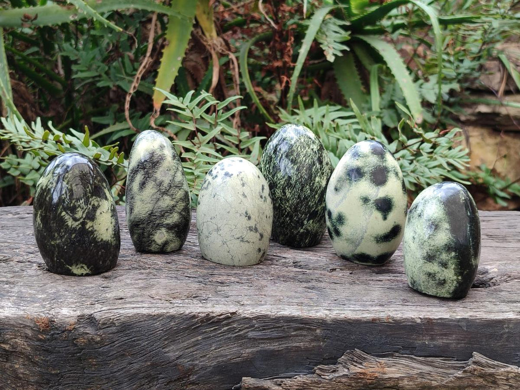 Polished Leopard Stone Standing Display Pieces x 6 From Zimbabwe - Toprock Gemstones and Minerals 