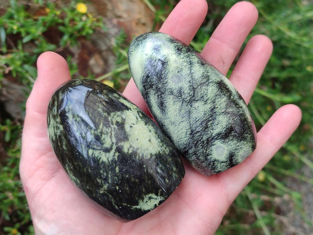 Polished Leopard Stone Standing Display Pieces x 6 From Zimbabwe - Toprock Gemstones and Minerals 