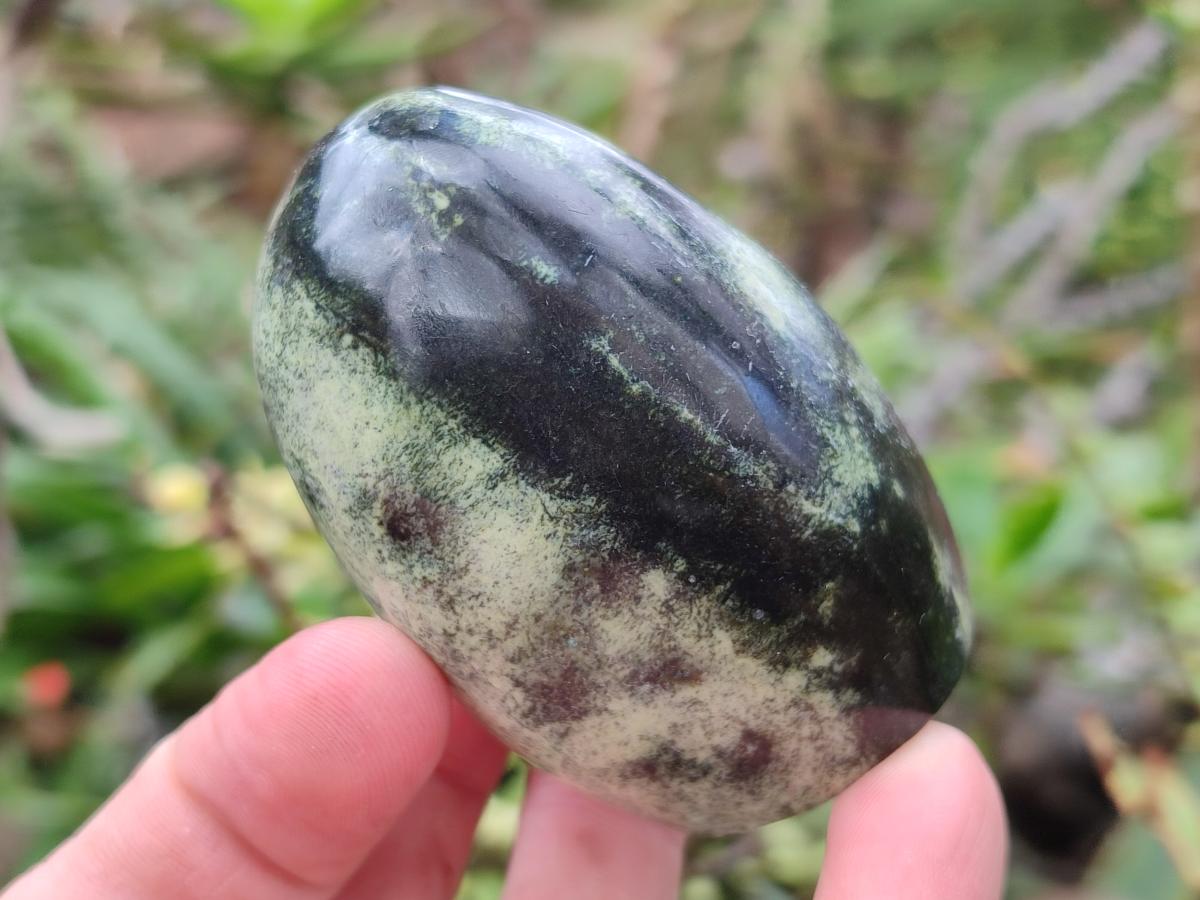 Polished Leopard Stone Standing Display Pieces x 6 From Zimbabwe - Toprock Gemstones and Minerals 