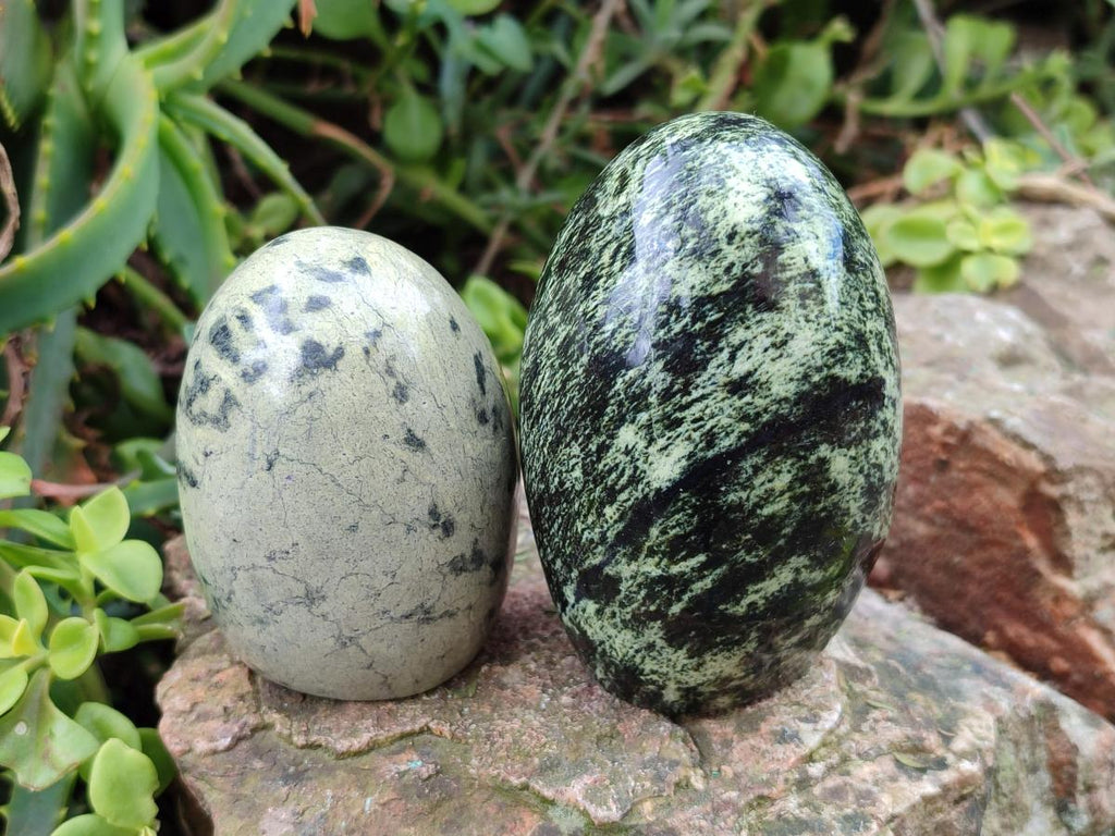 Polished Leopard Stone Standing Display Pieces x 6 From Zimbabwe - Toprock Gemstones and Minerals 