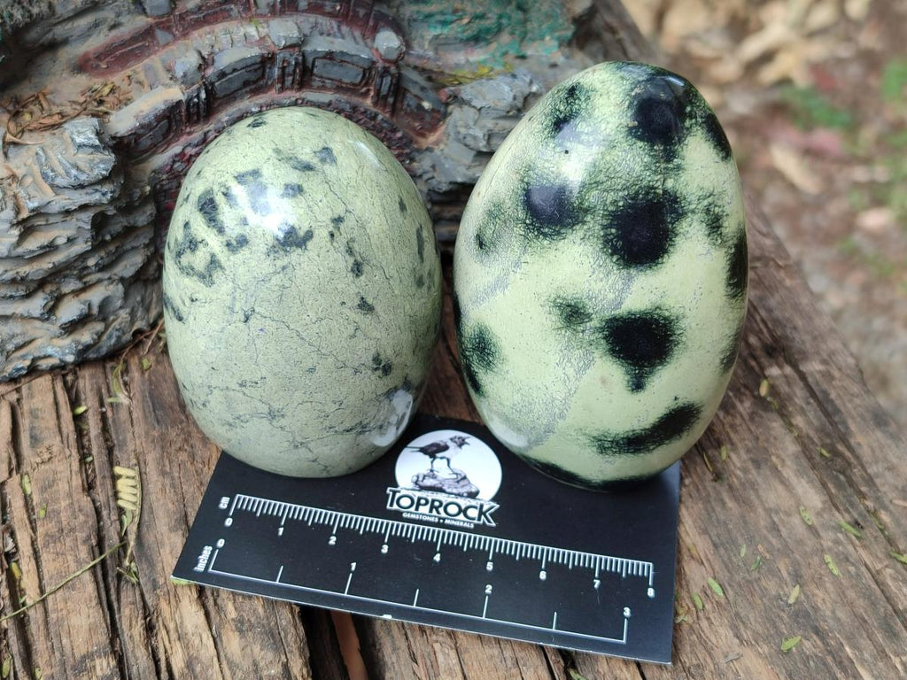 Polished Leopard Stone Standing Display Pieces x 6 From Zimbabwe - Toprock Gemstones and Minerals 