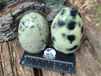 Polished Leopard Stone Standing Display Pieces x 6 From Zimbabwe - Toprock Gemstones and Minerals 
