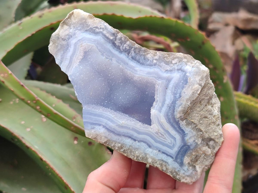 Natural Blue Lace Agate Geode Specimens x 6 From Nsanje, Malawi - Toprock Gemstones and Minerals 