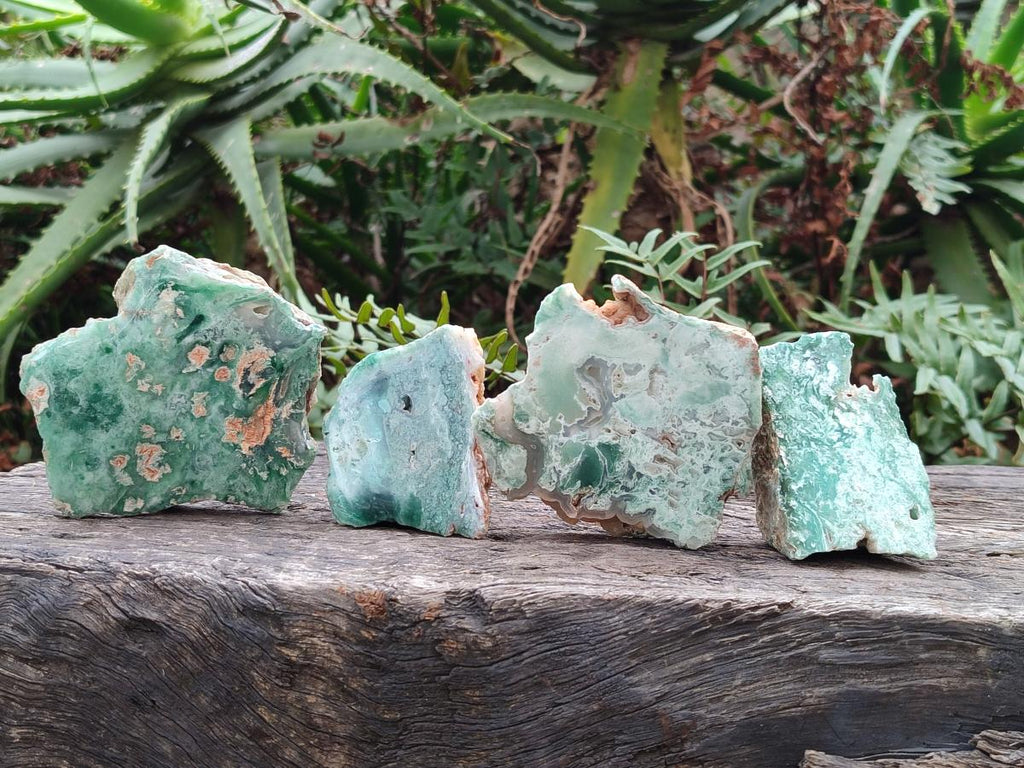 Polished One Side Great Dyke Mtorolite Chrysoprase Slices x 12 From Great Dyke Mountain Range, Zimbabwe - Toprock Gemstones and Minerals 