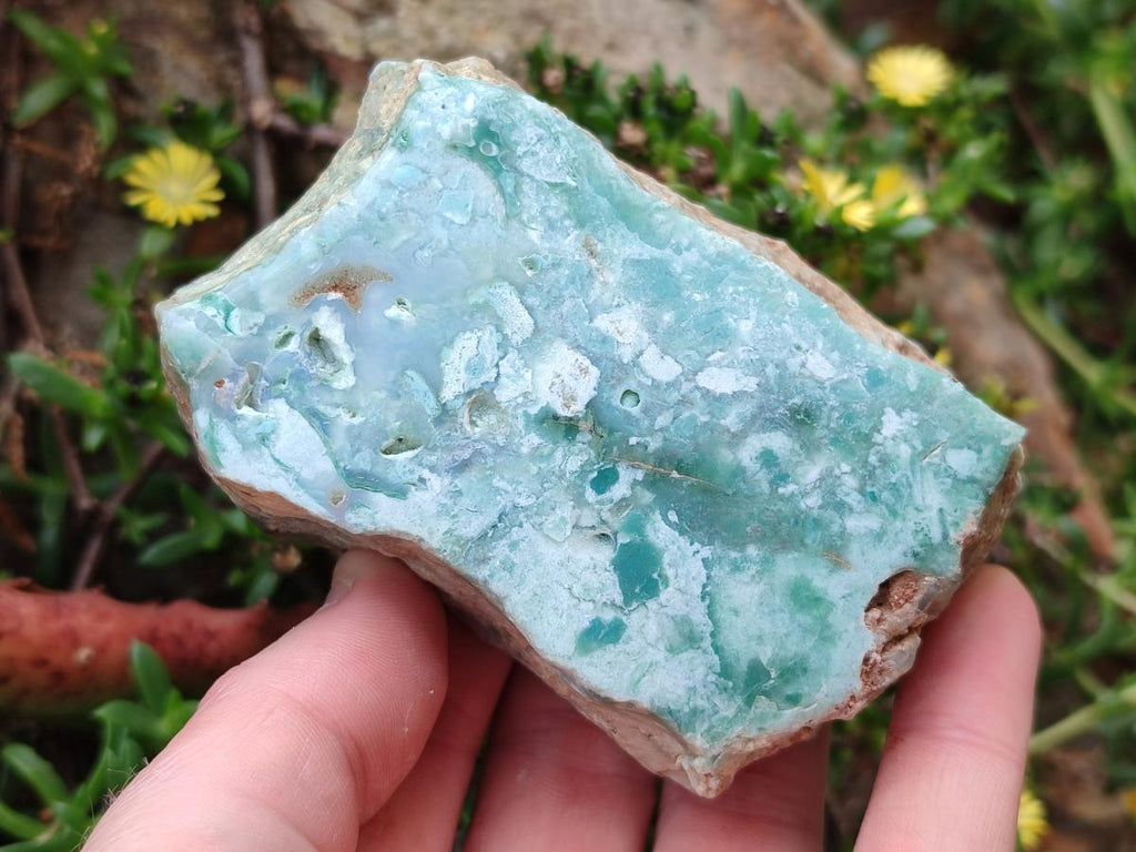 Polished One Side Great Dyke Mtorolite Chrysoprase Slices x 12 From Great Dyke Mountain Range, Zimbabwe - Toprock Gemstones and Minerals 