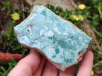 Polished One Side Great Dyke Mtorolite Chrysoprase Slices x 12 From Great Dyke Mountain Range, Zimbabwe - Toprock Gemstones and Minerals 