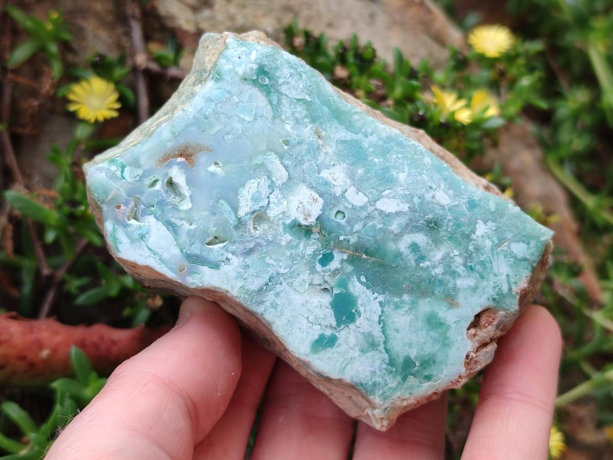 Polished One Side Great Dyke Mtorolite Chrysoprase Slices x 12 From Great Dyke Mountain Range, Zimbabwe - Toprock Gemstones and Minerals 