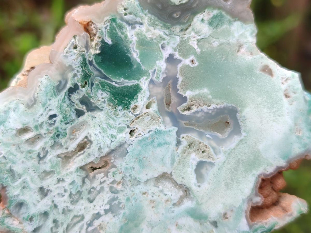 Polished One Side Great Dyke Mtorolite Chrysoprase Slices x 12 From Great Dyke Mountain Range, Zimbabwe - Toprock Gemstones and Minerals 