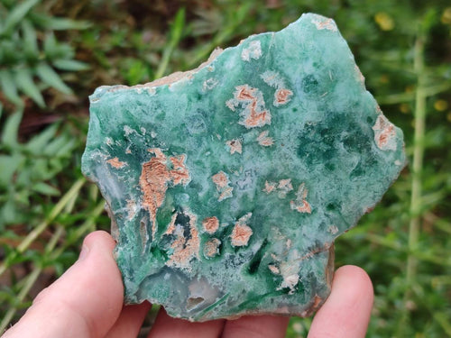 Polished One Side Great Dyke Mtorolite Chrysoprase Slices x 12 From Great Dyke Mountain Range, Zimbabwe - Toprock Gemstones and Minerals 