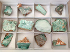 Polished One Side Great Dyke Mtorolite Chrysoprase Slices x 12 From Great Dyke Mountain Range, Zimbabwe - Toprock Gemstones and Minerals 