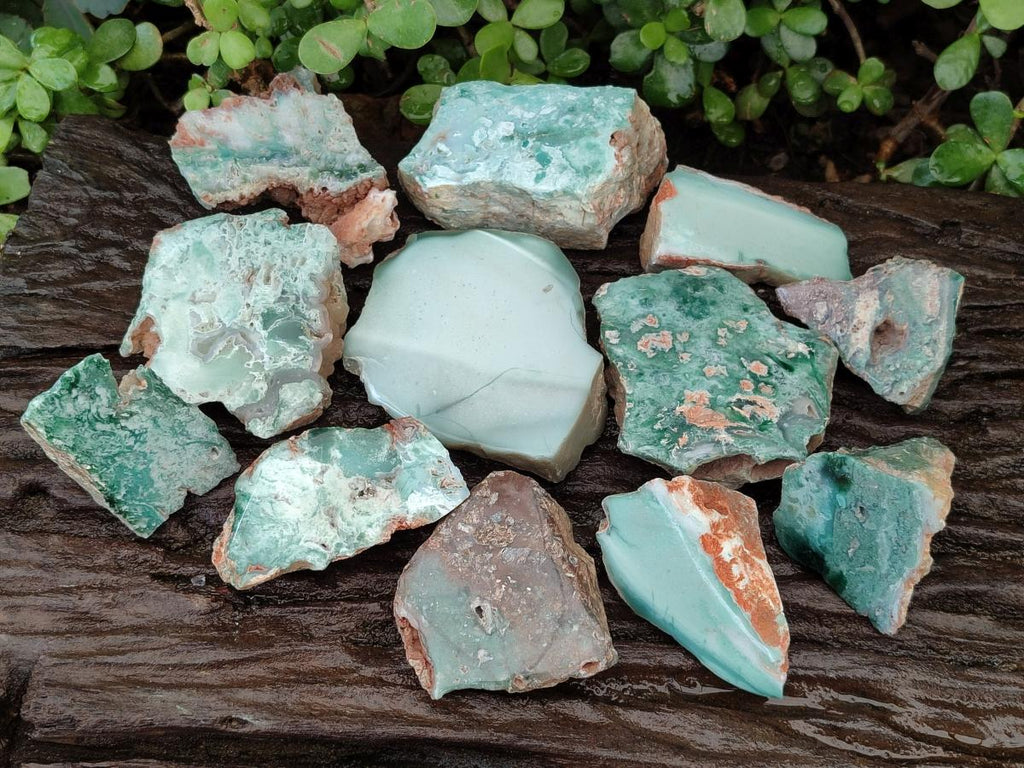 Polished One Side Great Dyke Mtorolite Chrysoprase Slices x 12 From Great Dyke Mountain Range, Zimbabwe - Toprock Gemstones and Minerals 