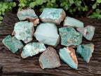 Polished One Side Great Dyke Mtorolite Chrysoprase Slices x 12 From Great Dyke Mountain Range, Zimbabwe - Toprock Gemstones and Minerals 