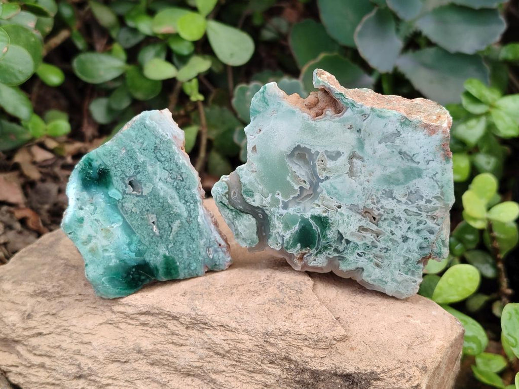 Polished One Side Great Dyke Mtorolite Chrysoprase Slices x 12 From Great Dyke Mountain Range, Zimbabwe - Toprock Gemstones and Minerals 