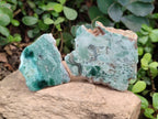 Polished One Side Great Dyke Mtorolite Chrysoprase Slices x 12 From Great Dyke Mountain Range, Zimbabwe - Toprock Gemstones and Minerals 