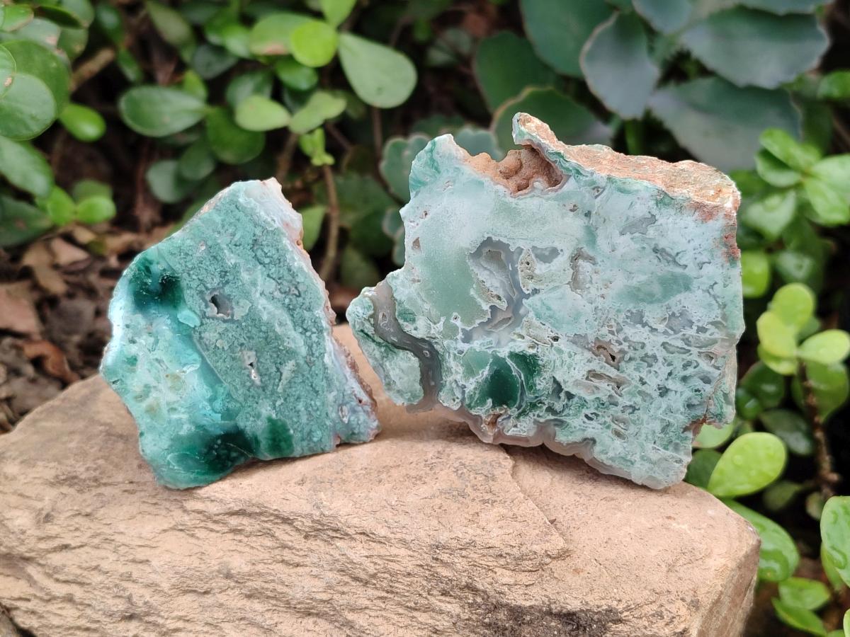 Polished One Side Great Dyke Mtorolite Chrysoprase Slices x 12 From Great Dyke Mountain Range, Zimbabwe - Toprock Gemstones and Minerals 