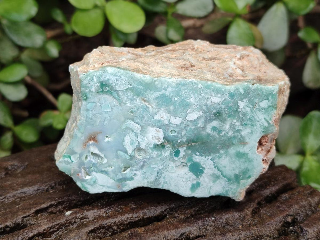Polished One Side Great Dyke Mtorolite Chrysoprase Slices x 12 From Great Dyke Mountain Range, Zimbabwe - Toprock Gemstones and Minerals 