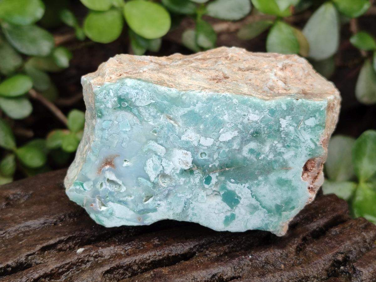 Polished One Side Great Dyke Mtorolite Chrysoprase Slices x 12 From Great Dyke Mountain Range, Zimbabwe - Toprock Gemstones and Minerals 