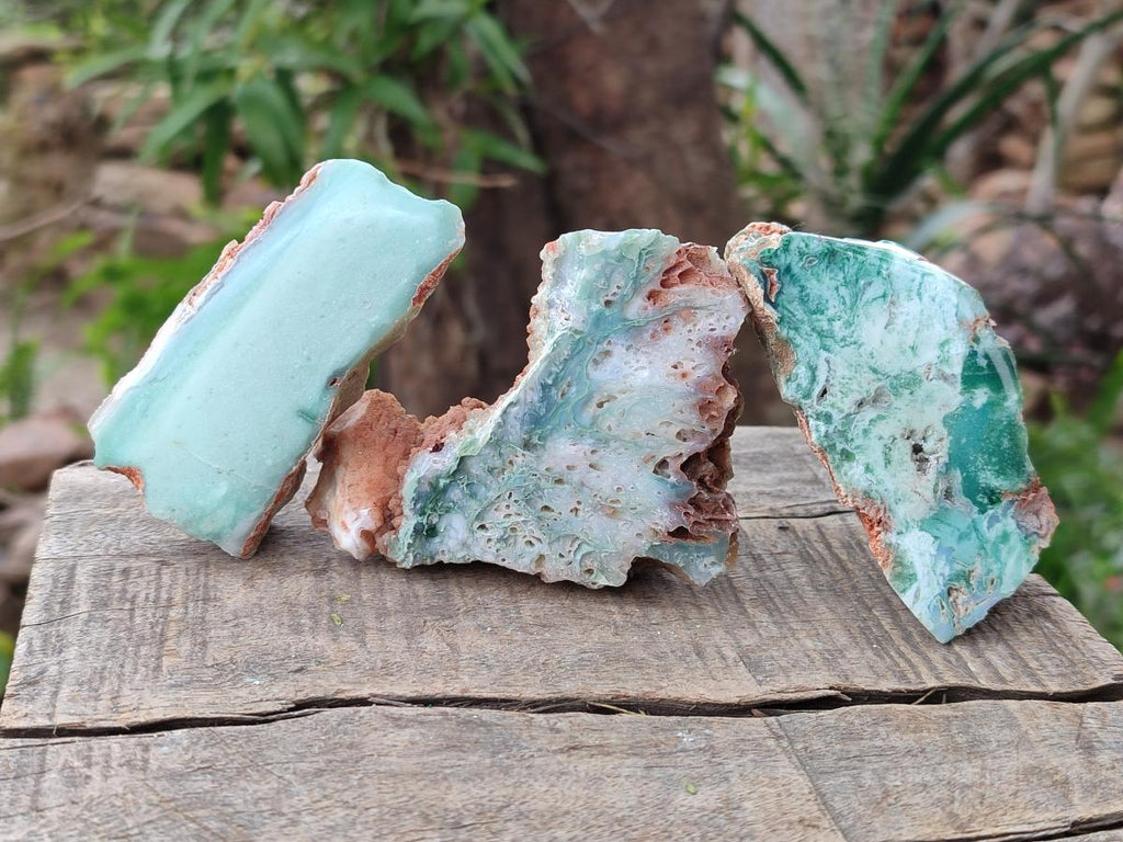 Polished One Side Great Dyke Mtorolite Chrysoprase Slices x 12 From Great Dyke Mountain Range, Zimbabwe - Toprock Gemstones and Minerals 