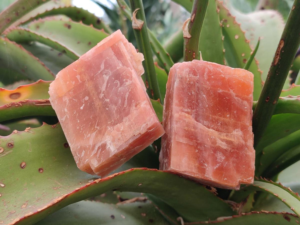 Natural Rhombohedral Sunset Deep Orange Calcite Specimens x 12 From Spitzkop, Namibia - Toprock Gemstones and Minerals 