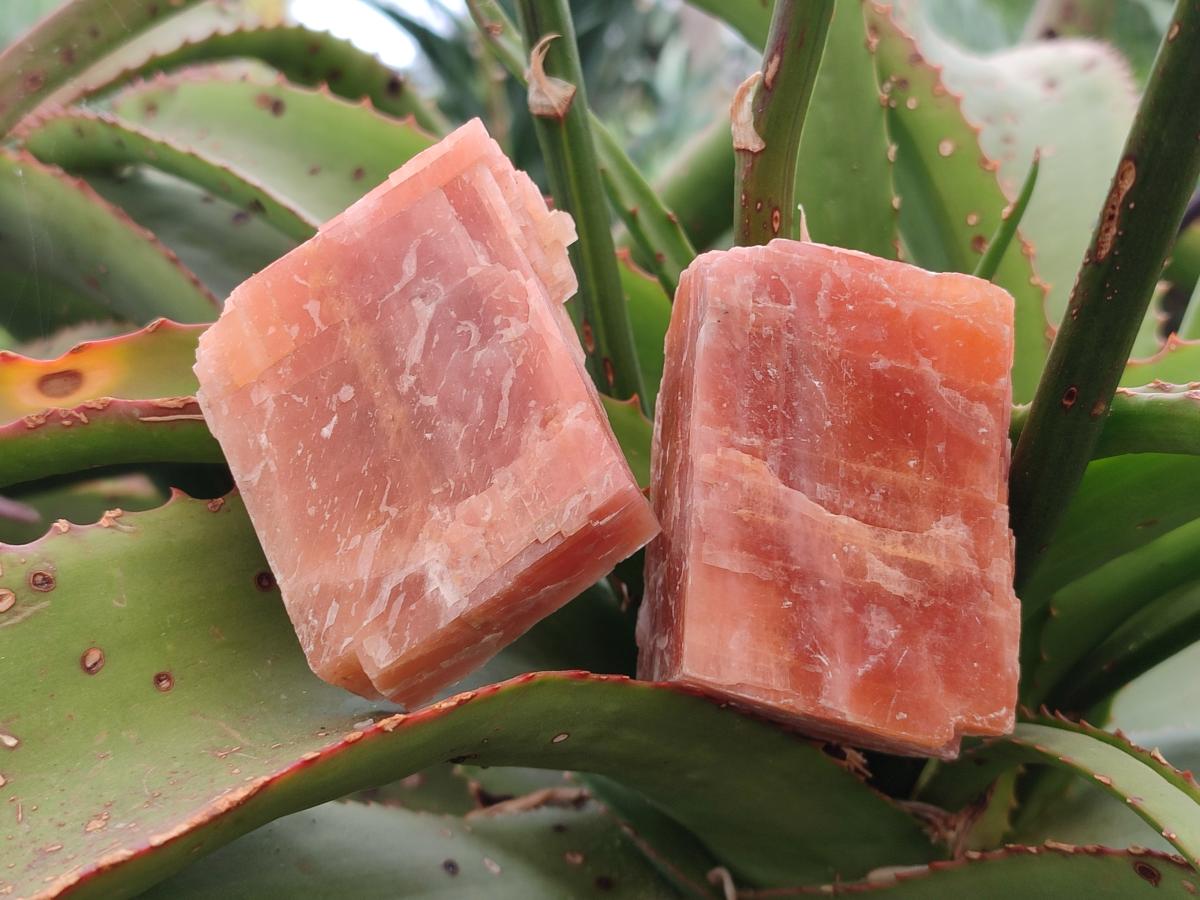 Natural Rhombohedral Sunset Deep Orange Calcite Specimens x 12 From Spitzkop, Namibia - Toprock Gemstones and Minerals 