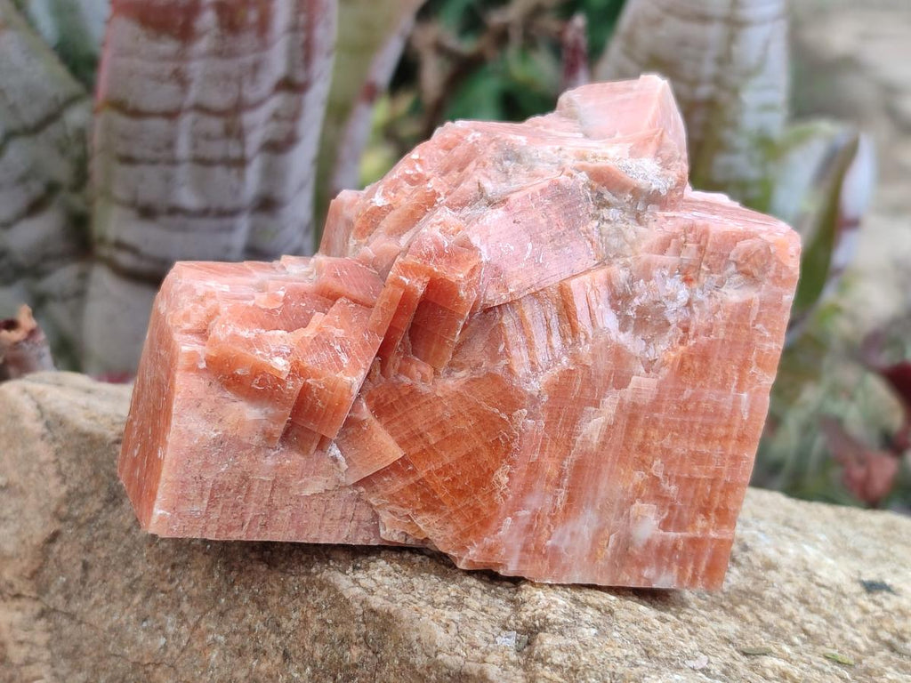 Natural Rhombohedral Sunset Deep Orange Calcite Specimens x 12 From Spitzkop, Namibia - Toprock Gemstones and Minerals 
