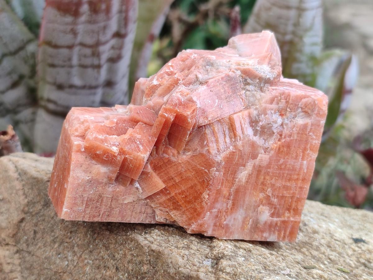 Natural Rhombohedral Sunset Deep Orange Calcite Specimens x 12 From Spitzkop, Namibia - Toprock Gemstones and Minerals 