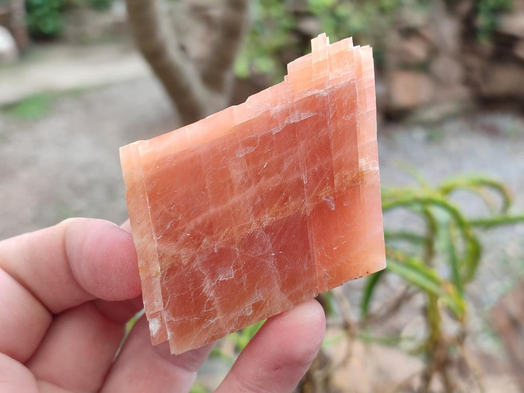 Natural Rhombohedral Sunset Deep Orange Calcite Specimens x 12 From Spitzkop, Namibia - Toprock Gemstones and Minerals 
