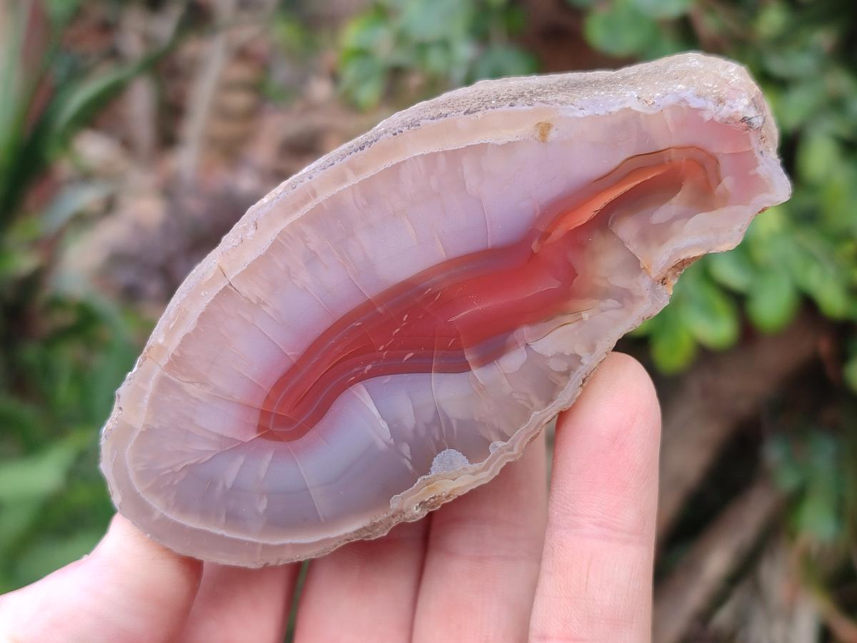 Polished One Side Red Shashe River Agate Slices x 3 From Shashe River, Zimbabwe - Toprock Gemstones and Minerals 