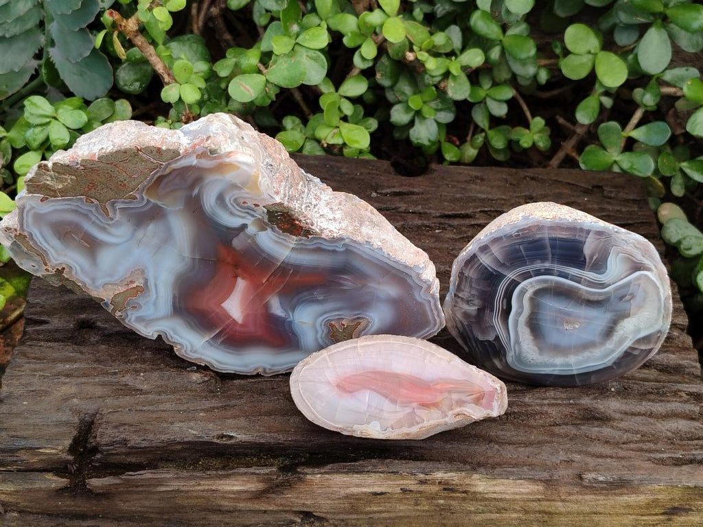 Polished One Side Red Shashe River Agate Slices x 3 From Shashe River, Zimbabwe - Toprock Gemstones and Minerals 