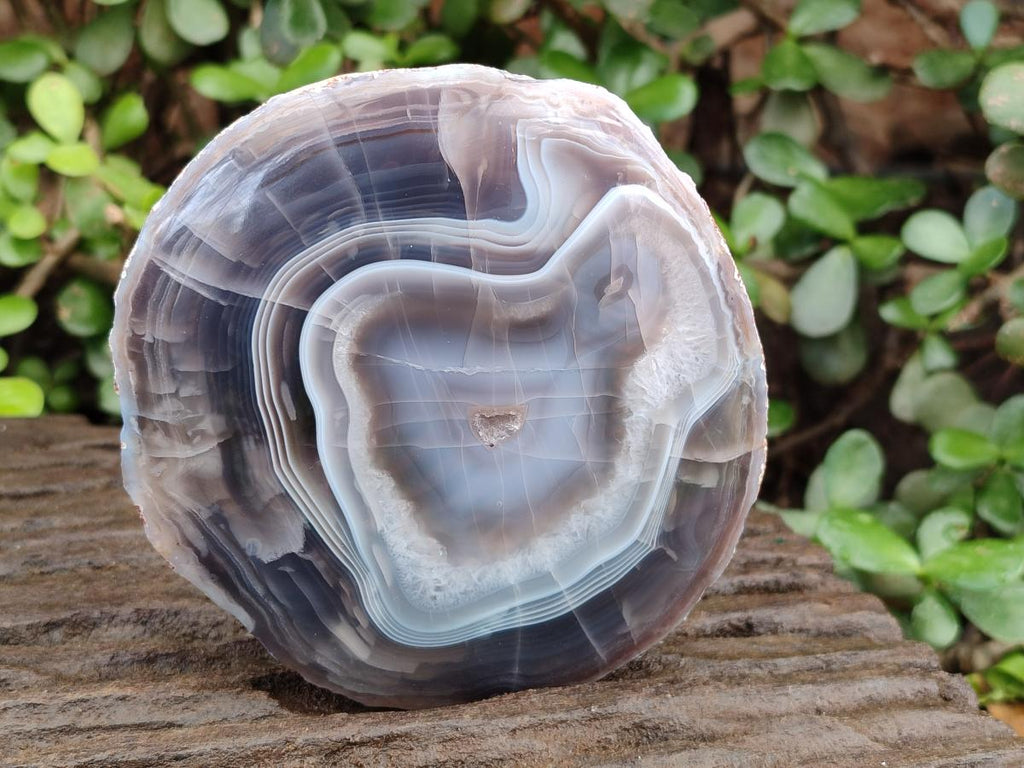 Polished One Side Red Shashe River Agate Slices x 3 From Shashe River, Zimbabwe - Toprock Gemstones and Minerals 