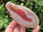 Polished One Side Red Shashe River Agate Slices x 3 From Shashe River, Zimbabwe - Toprock Gemstones and Minerals 